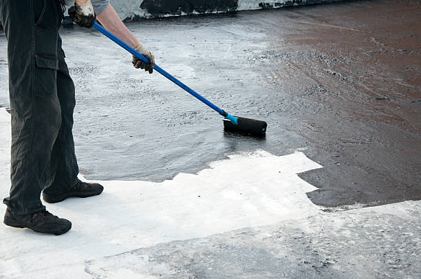 Best Waterproofing & Drywells  in Pea Ridge, FL